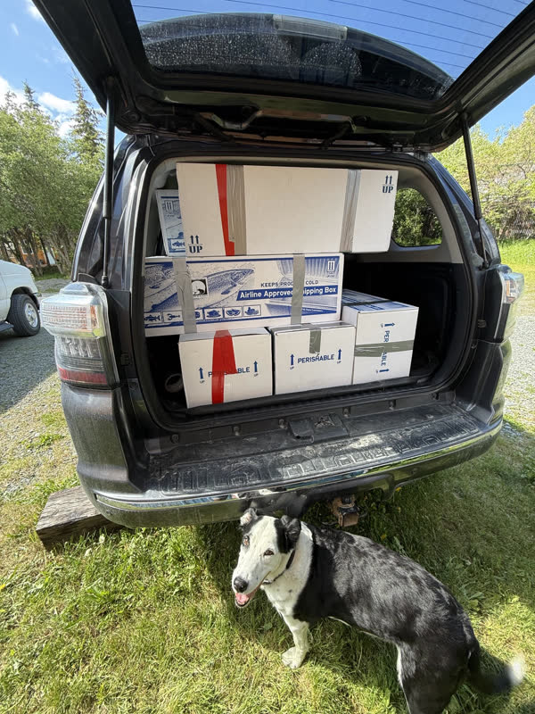 Boxed catch packed and ready to take home